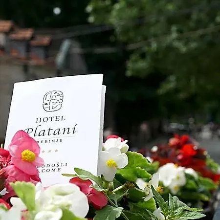 Platani Hotell