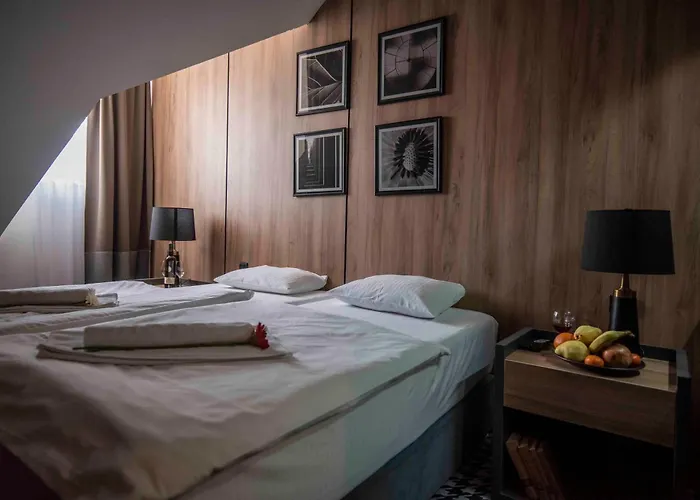 普拉塔尼酒店 酒店